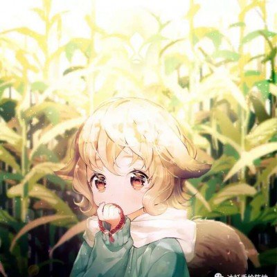 敲冬瓜月入十几万